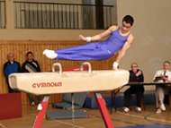 D-Cup 2014, Artur Sahakyan