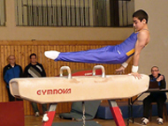 D-Cup 2014, Artur Sahakyan