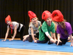 GET-MV 2014, Minis TuS 84/10