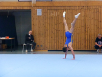 Rheinlandliga-Finale 2014